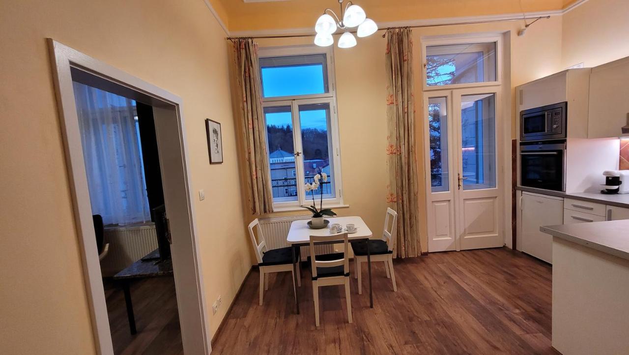 Apartman U Kolonady Mariánské Lázně Dış mekan fotoğraf