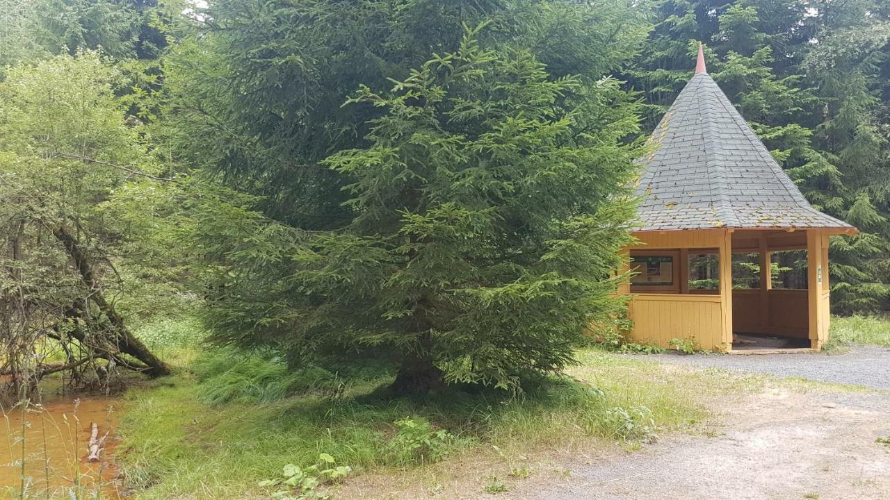 Apartman U Kolonady Mariánské Lázně Dış mekan fotoğraf